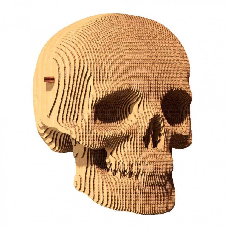 Cartonic 3D ECO Cardboard Puzzle...
