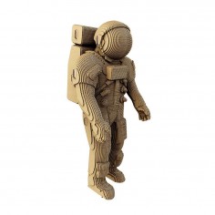 Cartonic 3D ECO Cardboard...