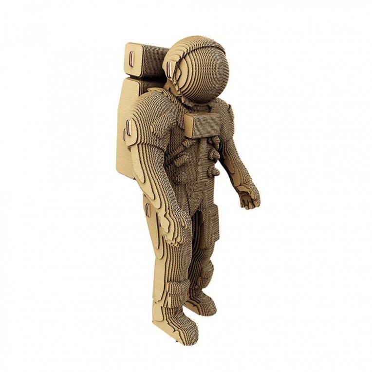 Cartonic 3D ECO Cardboard Puzzle...