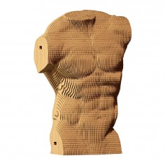 Cartonic 3D ECO Cardboard...