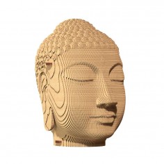 Cartonic 3D ECO Cardboard...