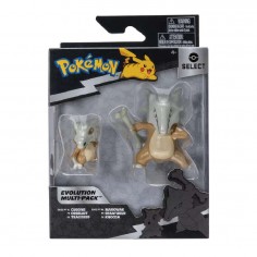 Pokemon Evolution Battle... 2