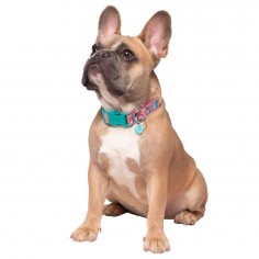 SquishMallows for Pets Dog... 2