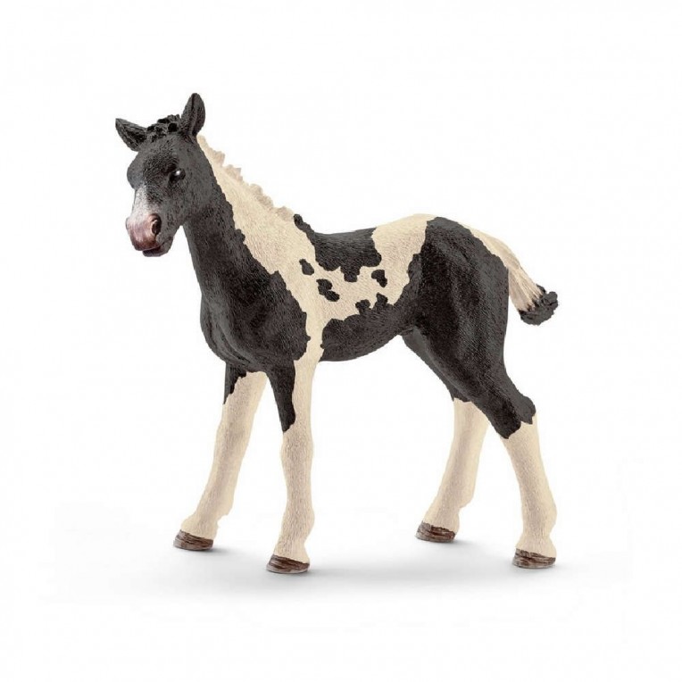 Schleich Πουλάρι Pinto (SC13803)
