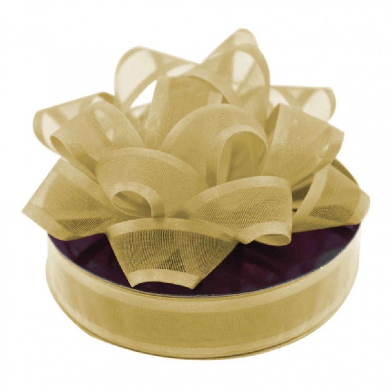 Φιόγκος απο Οργάντζα και Κορδέλα...