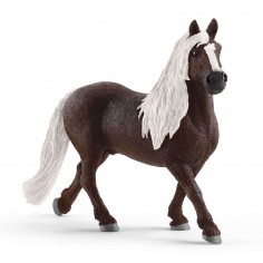 Schleich Farm World Black...