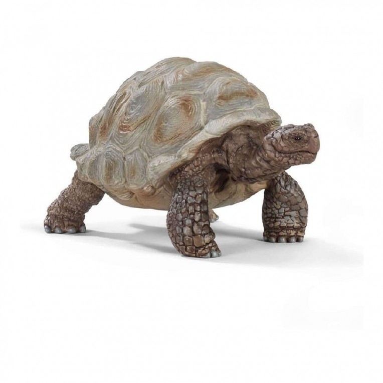 Schleich Χελώνα (SC14824)