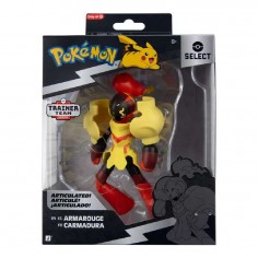Pokemon Select Trainer Team... 2