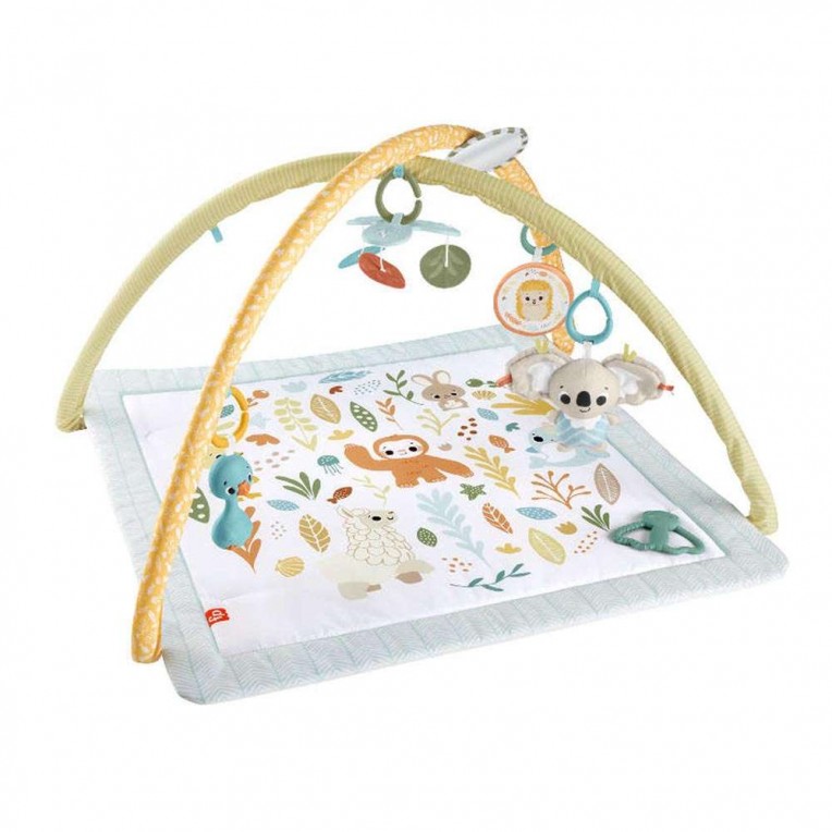 Fisher-Price Γυμναστήριο Οι Πρώτες...