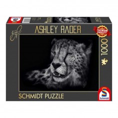 Schmidt Puzzle Speed...