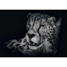 Schmidt Παζλ Speed Cheetah... 2