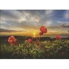 Heye Puzzle Edition... 2