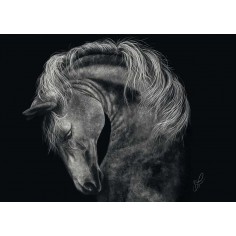 Schmidt Παζλ Power Horse... 2