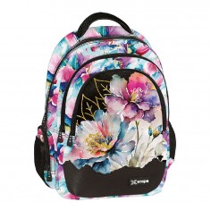 Organized Backpack Xscape...