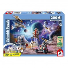 Schmidt Puzzle Space...
