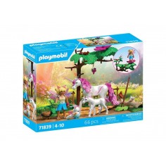 Playmobil Magic Unicorns...