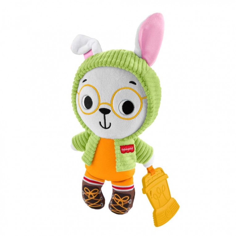Fisher-Price Friendship Forest...