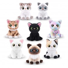 Pets Alive Smitten Kittens... 2