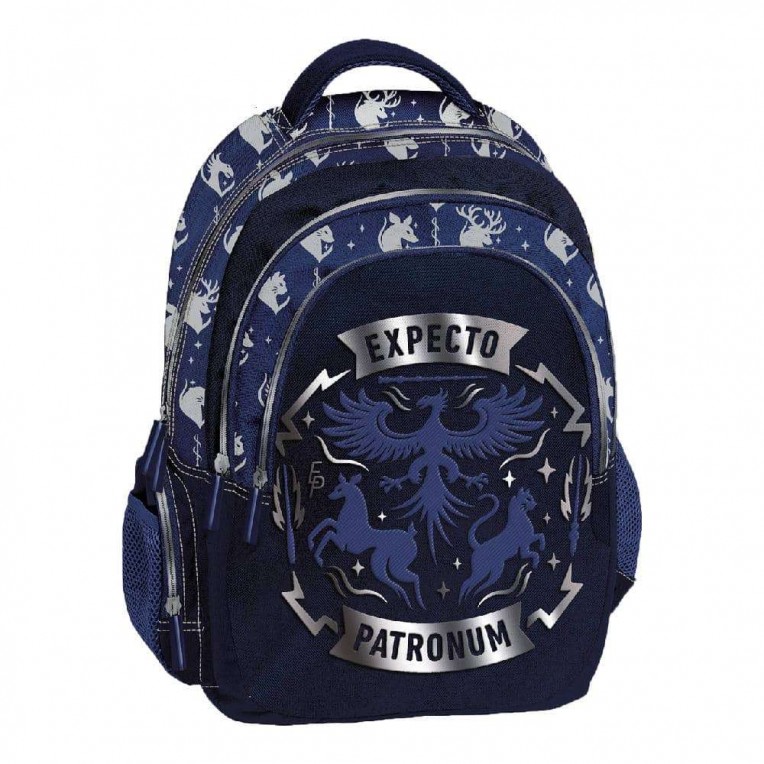 Organized Backpack Harry Potter...