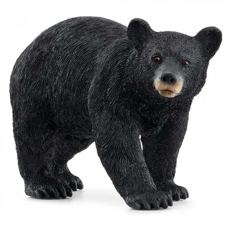 Schleich Wild Life American Black...