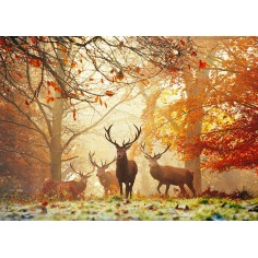 Heye Puzzle Magic Forests... 2