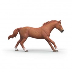 Schleich Horse Club English... 2