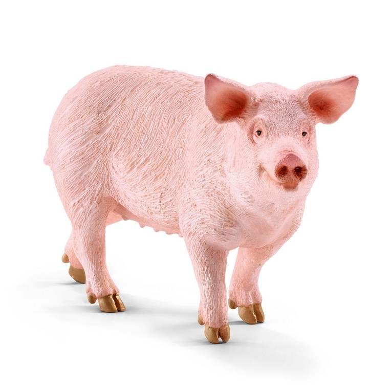 Schleich Pig