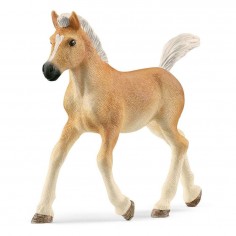 Schleich Horse Club...