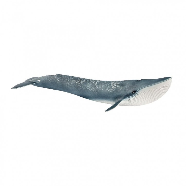 Schleich Blue Whale