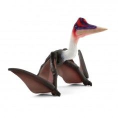 Schleich Dinosaurs...