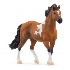 Schleich Horse Club...