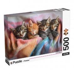 Lisciani Puzzle & Poster...