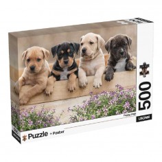 Lisciani Puzzle & Poster...