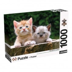 Lisciani Παζλ & Poster Cats...