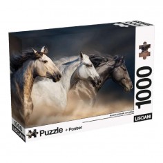 Lisciani Παζλ & Poster...