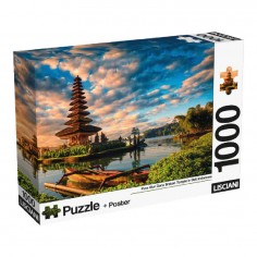Lisciani Puzzle & Poster...