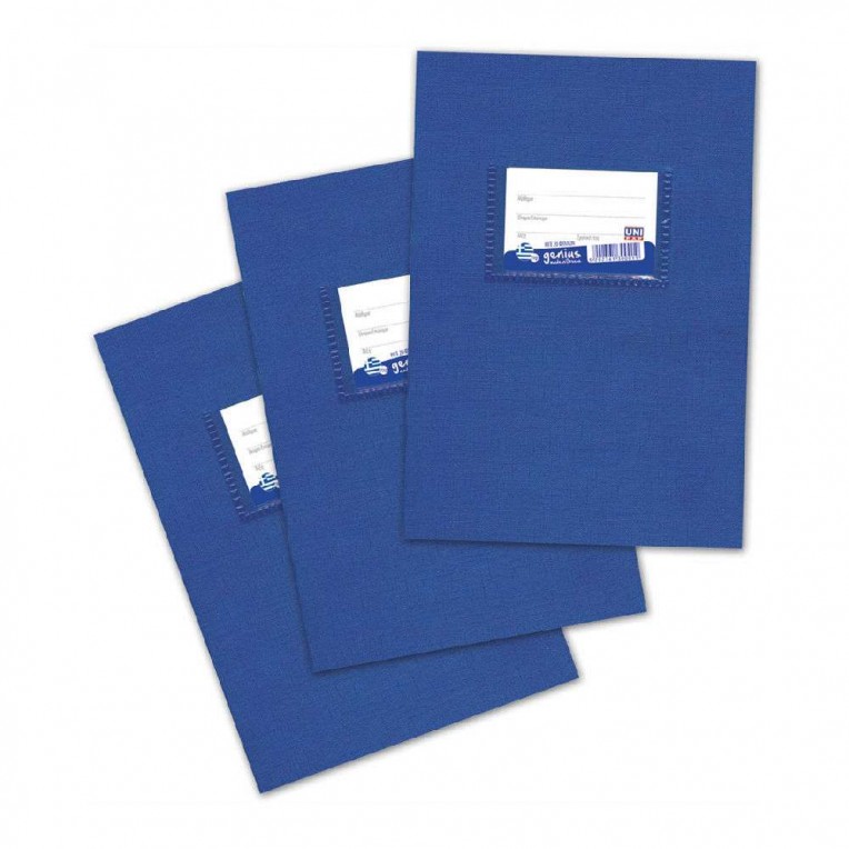 Notebook Genius Striped Blue 17x25cm...