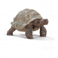 Schleich Giant Tortoise...