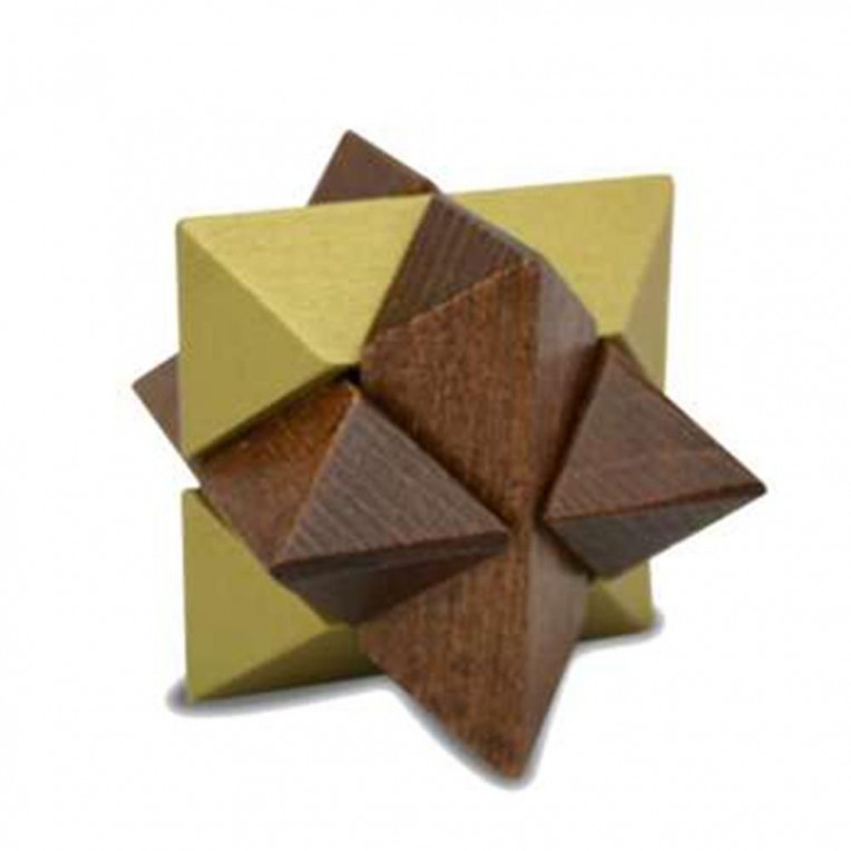 Brainteaser True Genius Mini Puzzle...