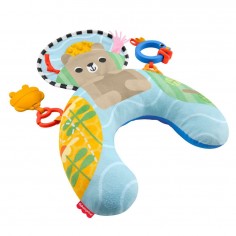 Fisher-Price Sensory...