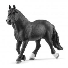 Schleich Horse Club...