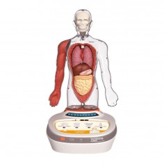 Science Can The Human Body... 2