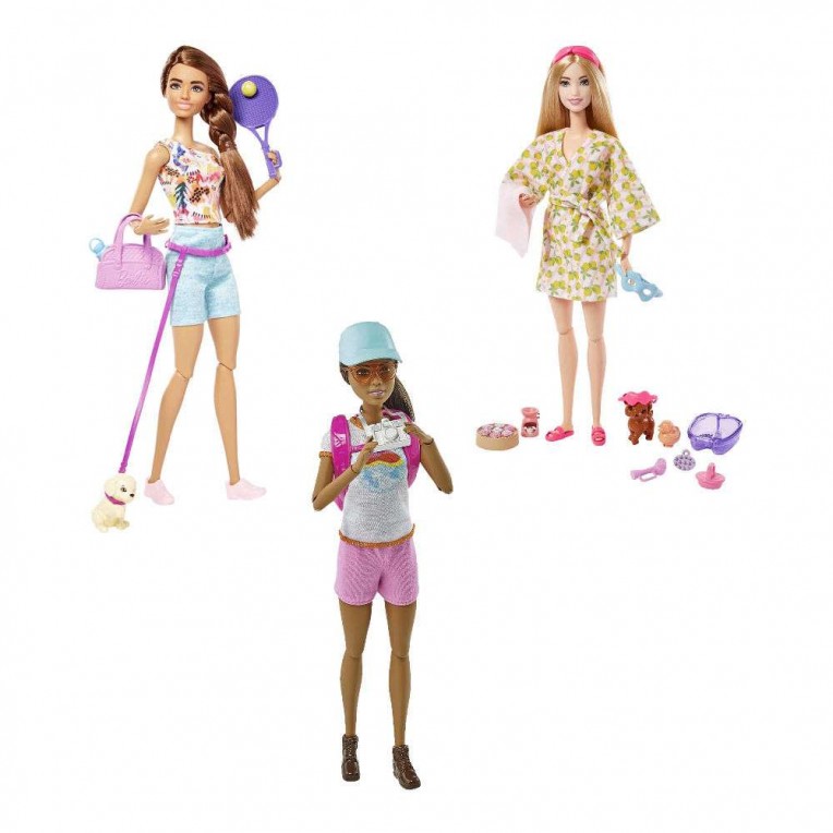 Barbie Wellness Doll with Puppy &...