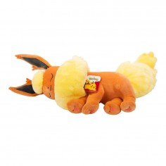 Plush Pokemon Sleeping... 2