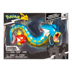 Pokemon Select Evolution... 2