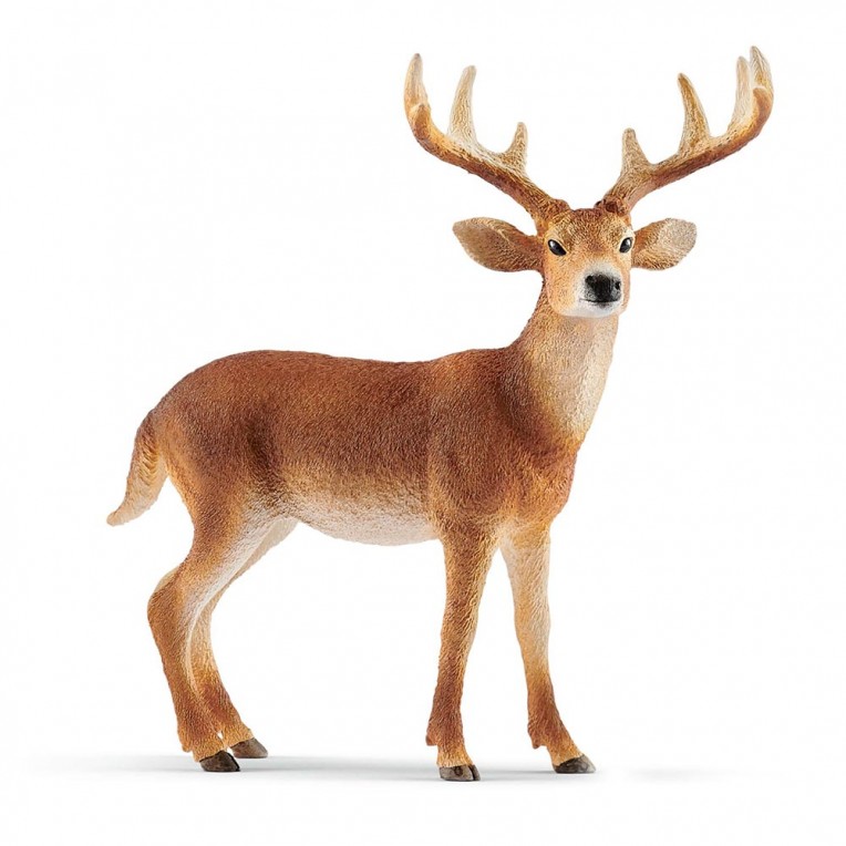 Schleich White-tailed Buck (SC14818)