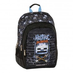 Organized Backpack...