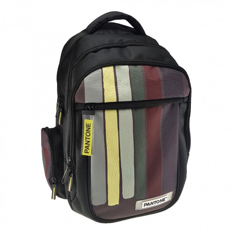 Organized Backpack 3 Zip Pantone