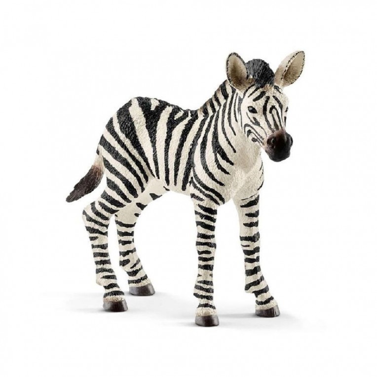 Schleich Wild Life Zebra Foal (SC14811)