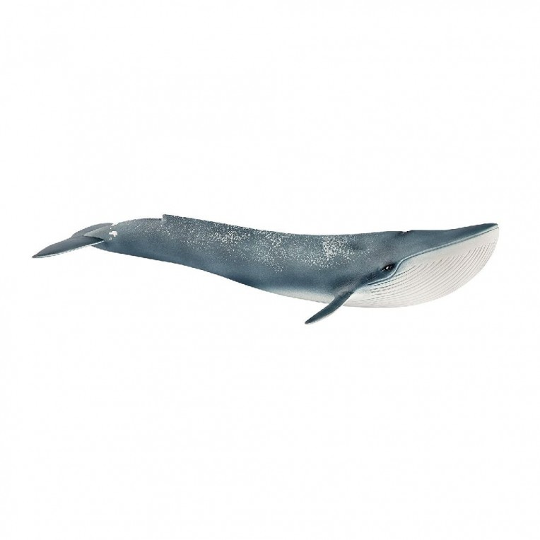 Schleich Φάλαινα Μπλέ